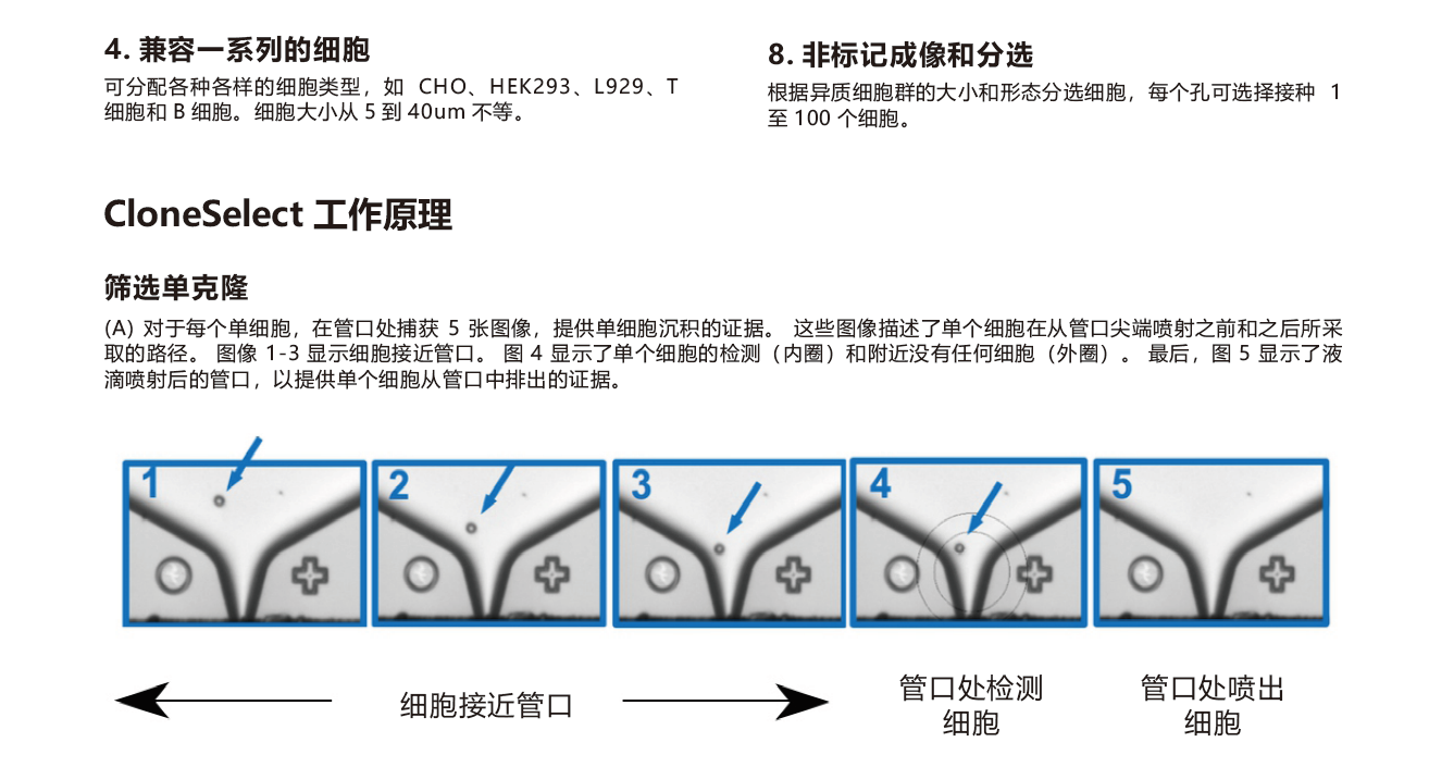 微信截图_20220331162931.png