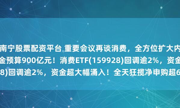 南宁股票配资平台 重要会议再谈消费，全方位扩大内需！今年育儿补贴资金预算900亿元！消费ETF(159928)回调逾2%，资金超大幅涌入！全天狂揽净申购超6.5亿份