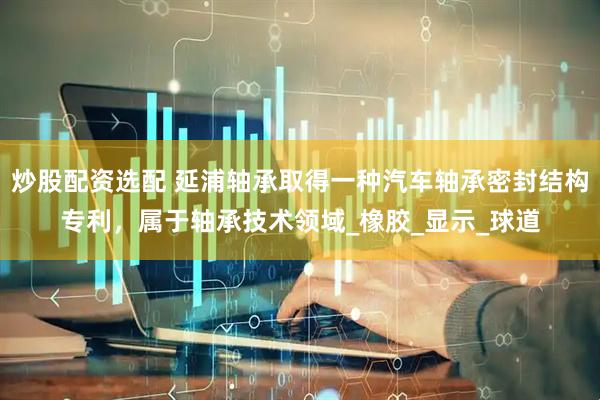 炒股配资选配 延浦轴承取得一种汽车轴承密封结构专利，属于轴承技术领域_橡胶_显示_球道