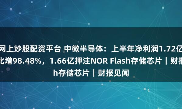 网上炒股配资平台 中微半导体：上半年净利润1.72亿元同比增98.48%，1.66亿押注NOR Flash存储芯片｜财报见闻